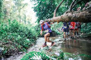 BIB: 
                            <button type="button" onclick="openModal(25460596)" class="btn btn-primary btn-sm float-right btn-popup" data-toggle="modal" data-target=".modal-high-quality">
                        <i class="fas fa-shopping-cart"></i> Add to Cart
                    </button>
                                            <button type="button" onclick="isThisMe(25460596, true)" class="btn btn-success btn-sm float-right btn-popup btn-isme hidden" data-toggle="tooltip" data-placement="bottom" title="นี่คือรูปของคุณใช่ไหม คลิกที่นี่เพื่อเอาเข้าอัลบั้ม">
                        <i class="fas fa-plus"></i> Add to album
                    </button>
                    <button type="button" onclick="isThisMe(25460596, false)" class="btn btn-warning btn-sm float-right btn-popup btn-isnotme hidden">
                        <i class="fas fa-ban"></i> Remove from album
                    </button>